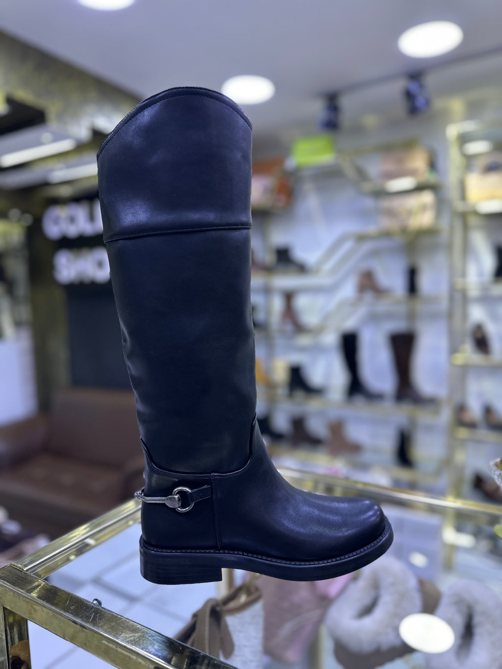 Cavalière - CLS 535