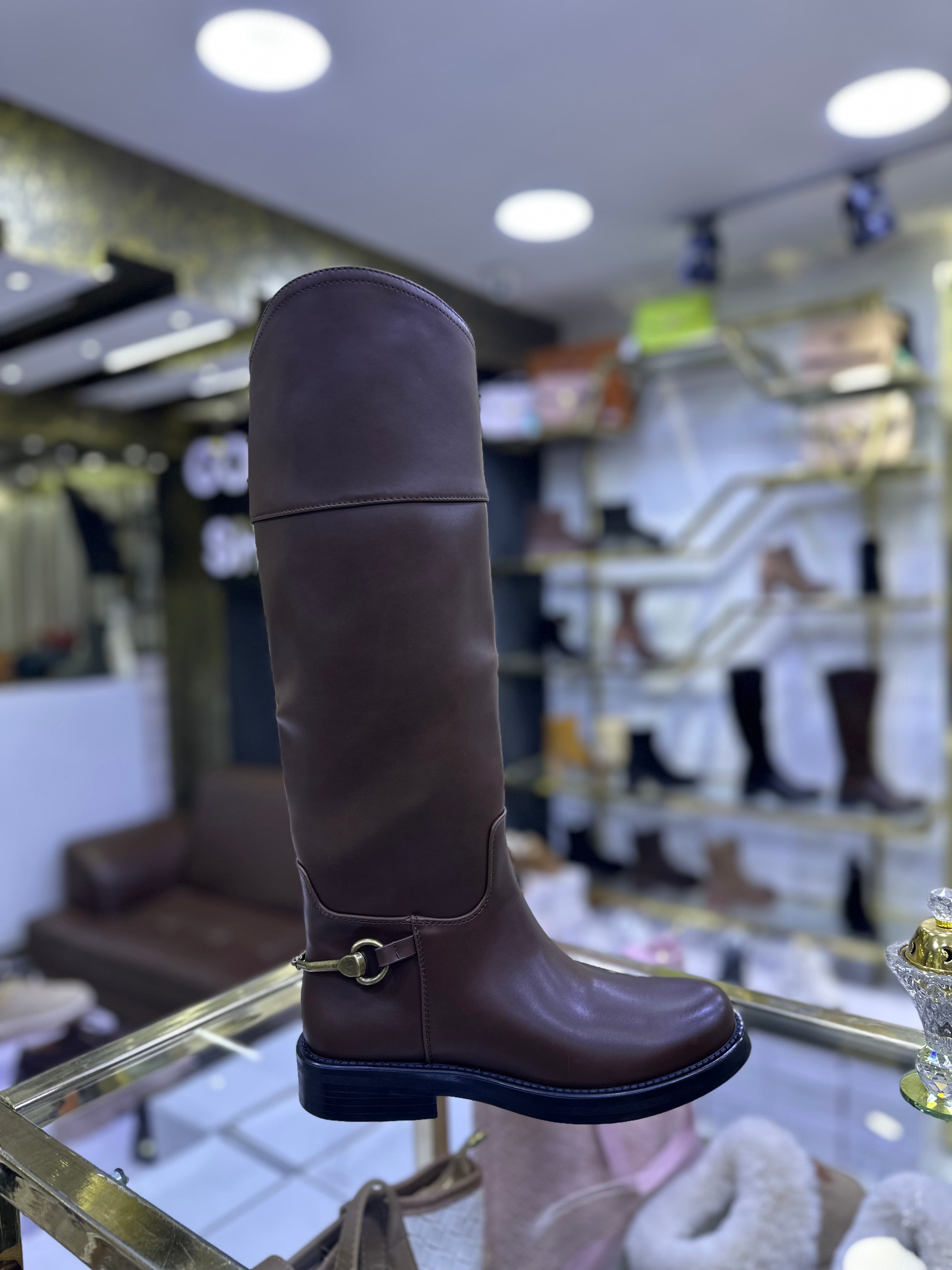 Cavalière - CLS 535